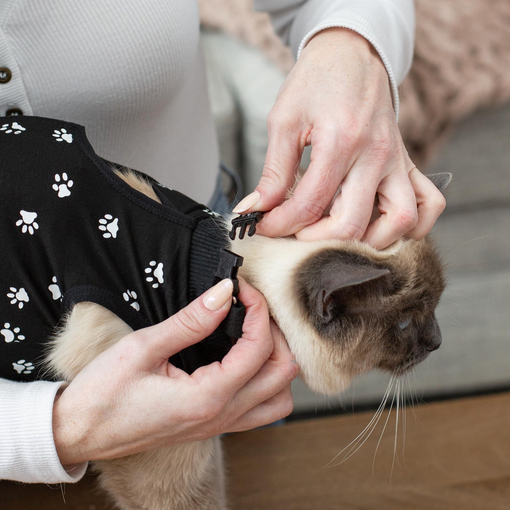 Kedi Cats Solutions: couleur noire discrète adaptée à la vie quotidienne.