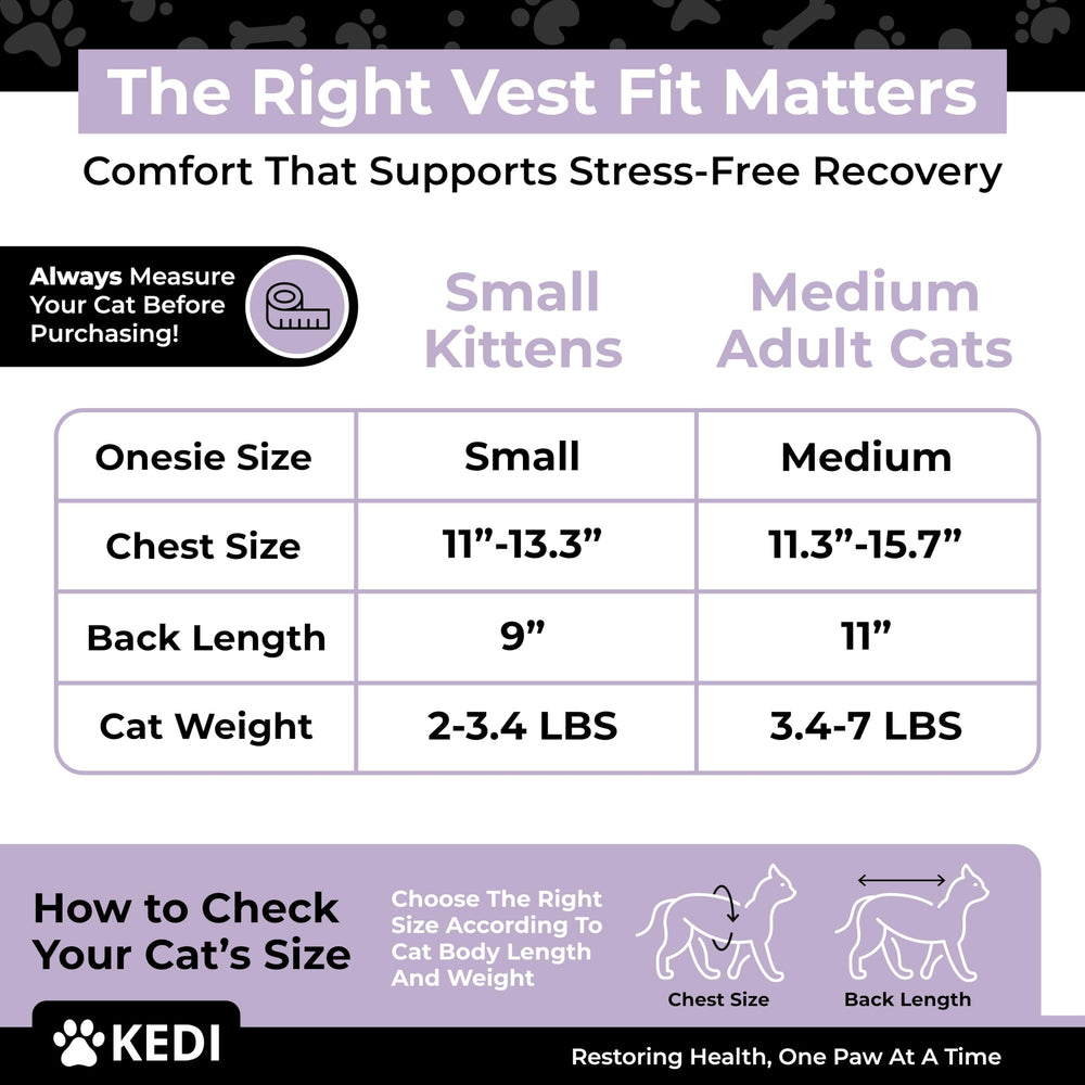 Kedi Cats Solutions cône protection chat doux: protège la zone sensible sans irritations.