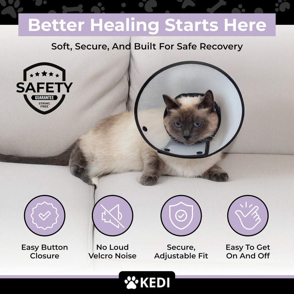 Design sans fil de Kedi Cats Solutions pour sécurité quotidienne