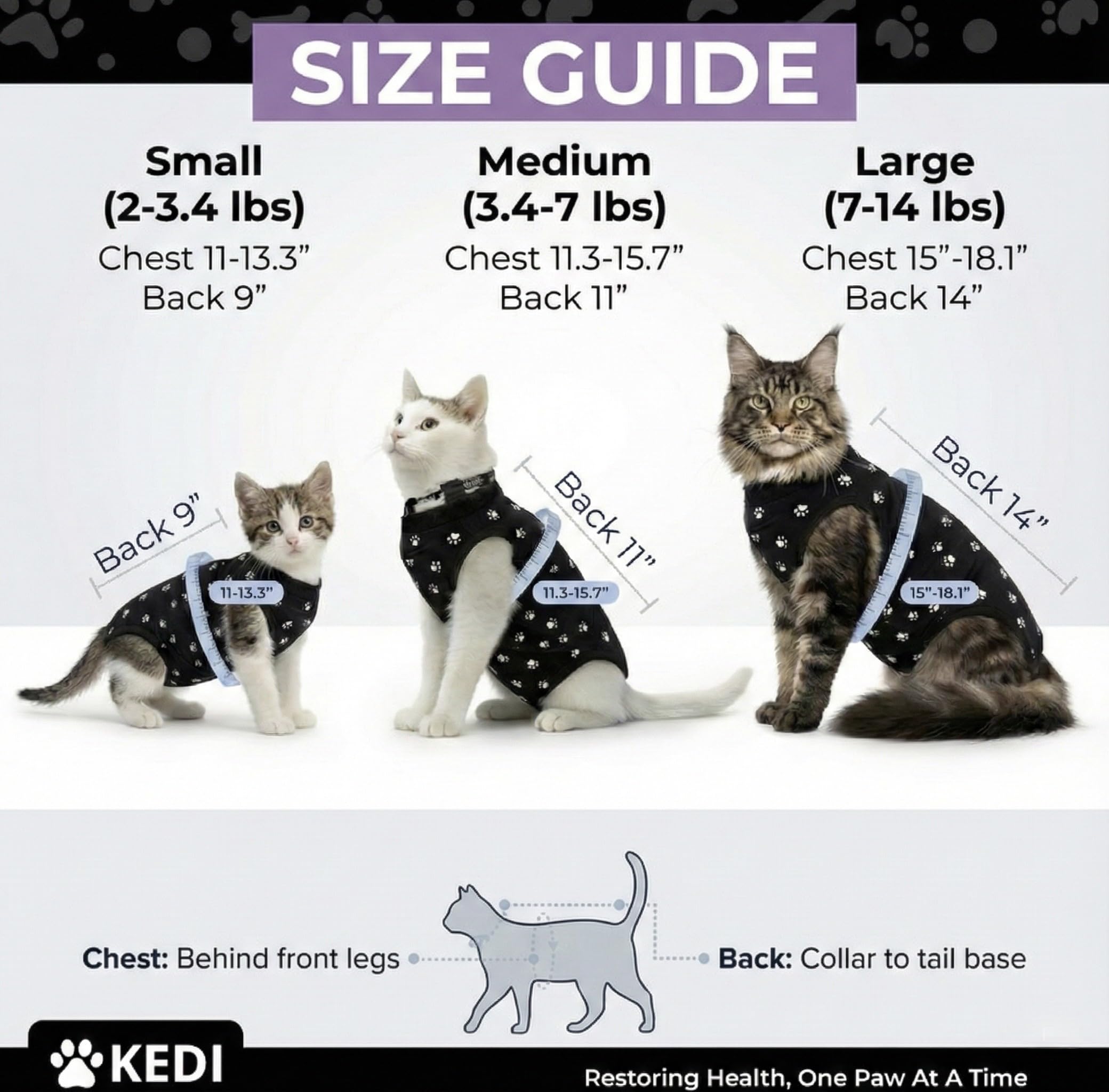 Kedi Cats Solutions: système d’attache sécurisé sans danger autour du cou.