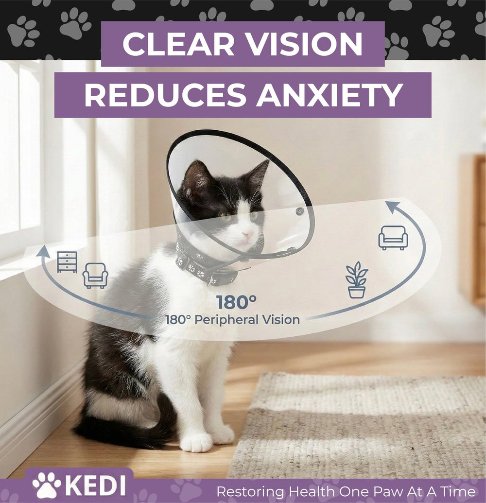 Vue à 180 degrés du cône Kedi Cats Solutions pour chat.