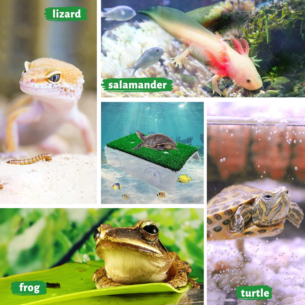 Keedolla matériaux sûrs non toxiques garantissant un habitat sûr.