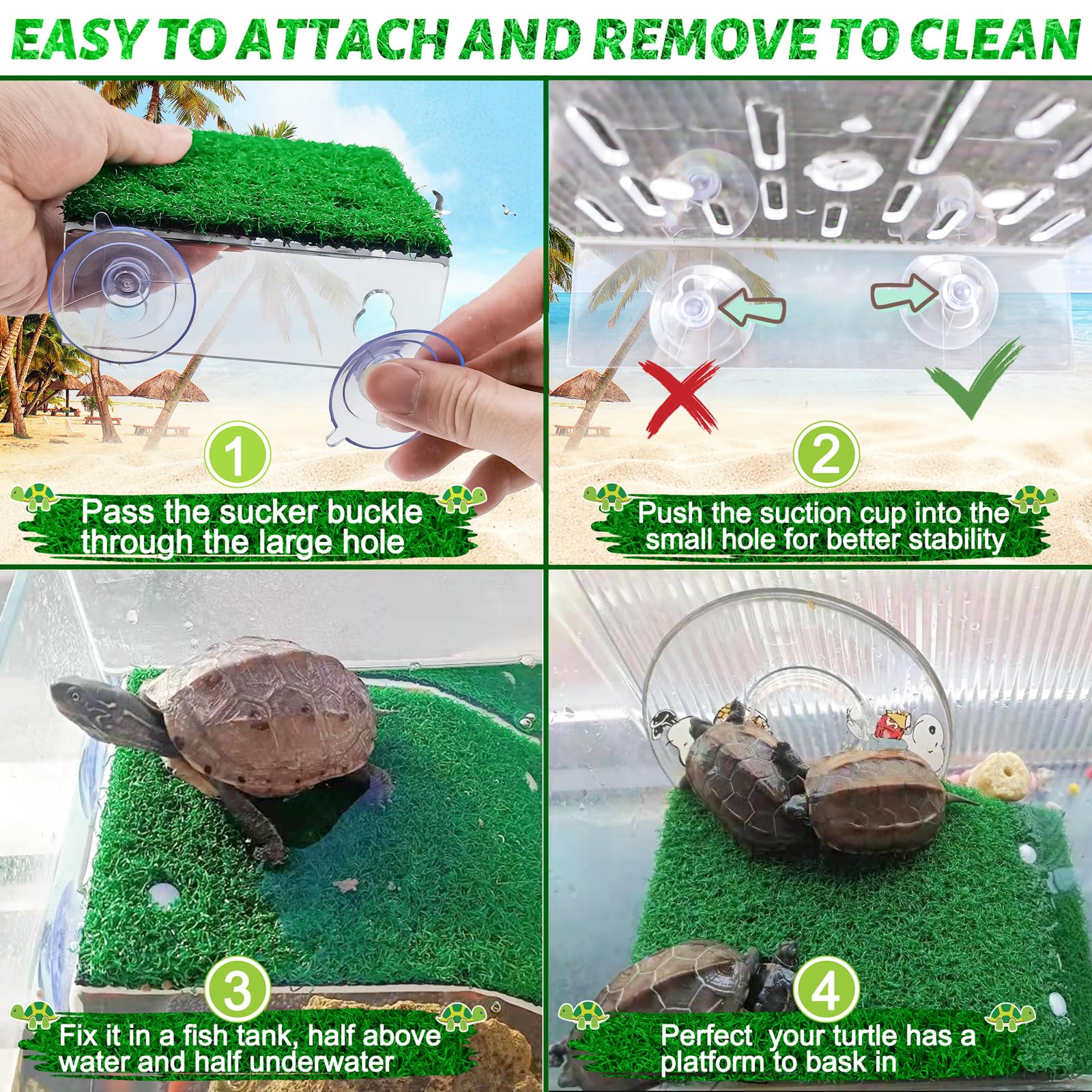 Keedolla rampe tortue amovible nettoyage facile pour entretenir l'espace.