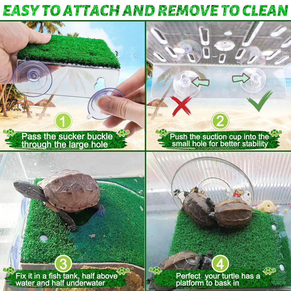 Keedolla rampe tortue amovible nettoyage facile pour entretenir l'espace.