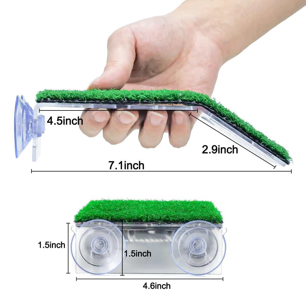 Keedolla rampe tortue jardin gazon pour faciliter l'escalade et le repos.