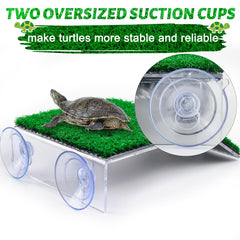 Keedolla terrasse tortue surface gazon artificiel offre aire de repos.