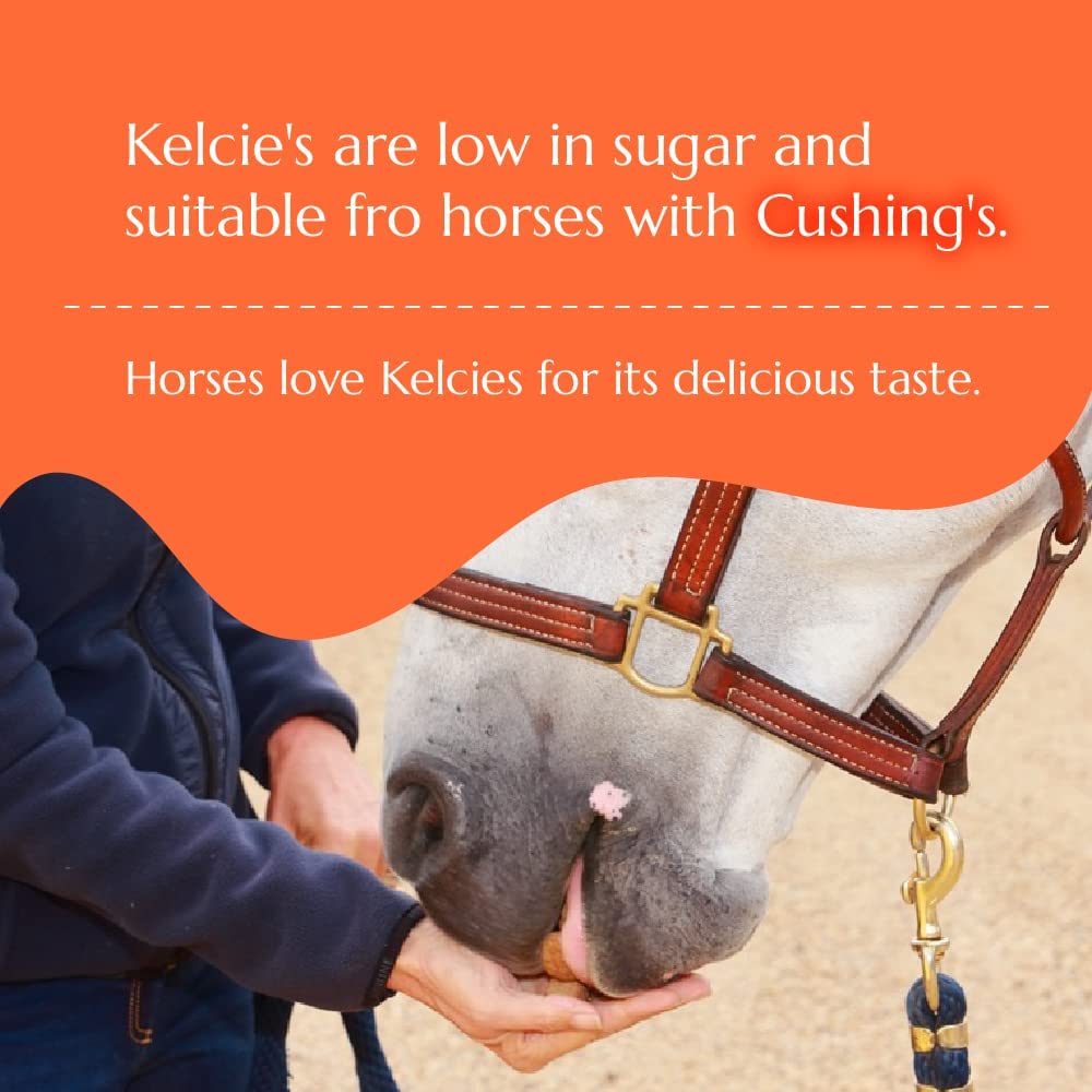 Arôme naturel de Kelcies Pumpkin Spice, stimulant l'appétit du cheval.