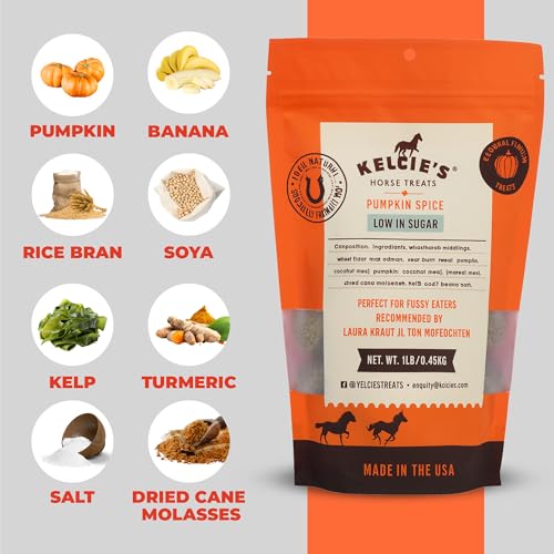 Kelcies Pumpkin Spice friandise cheval – texture croustillante idéale pour récompenser.