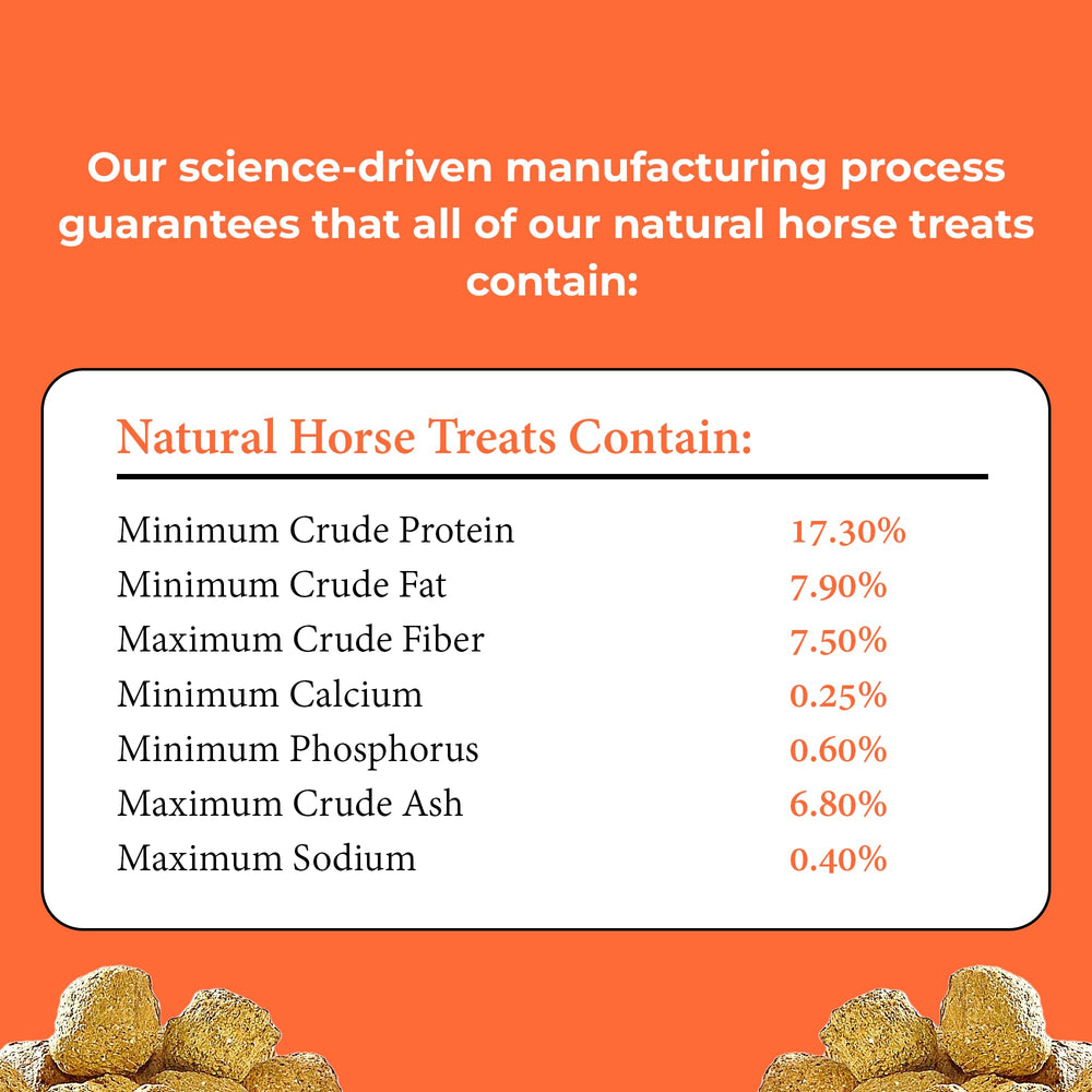 Kelcies Pumpkin Spice idéal comme outil d entraînement et lien avec le cheval