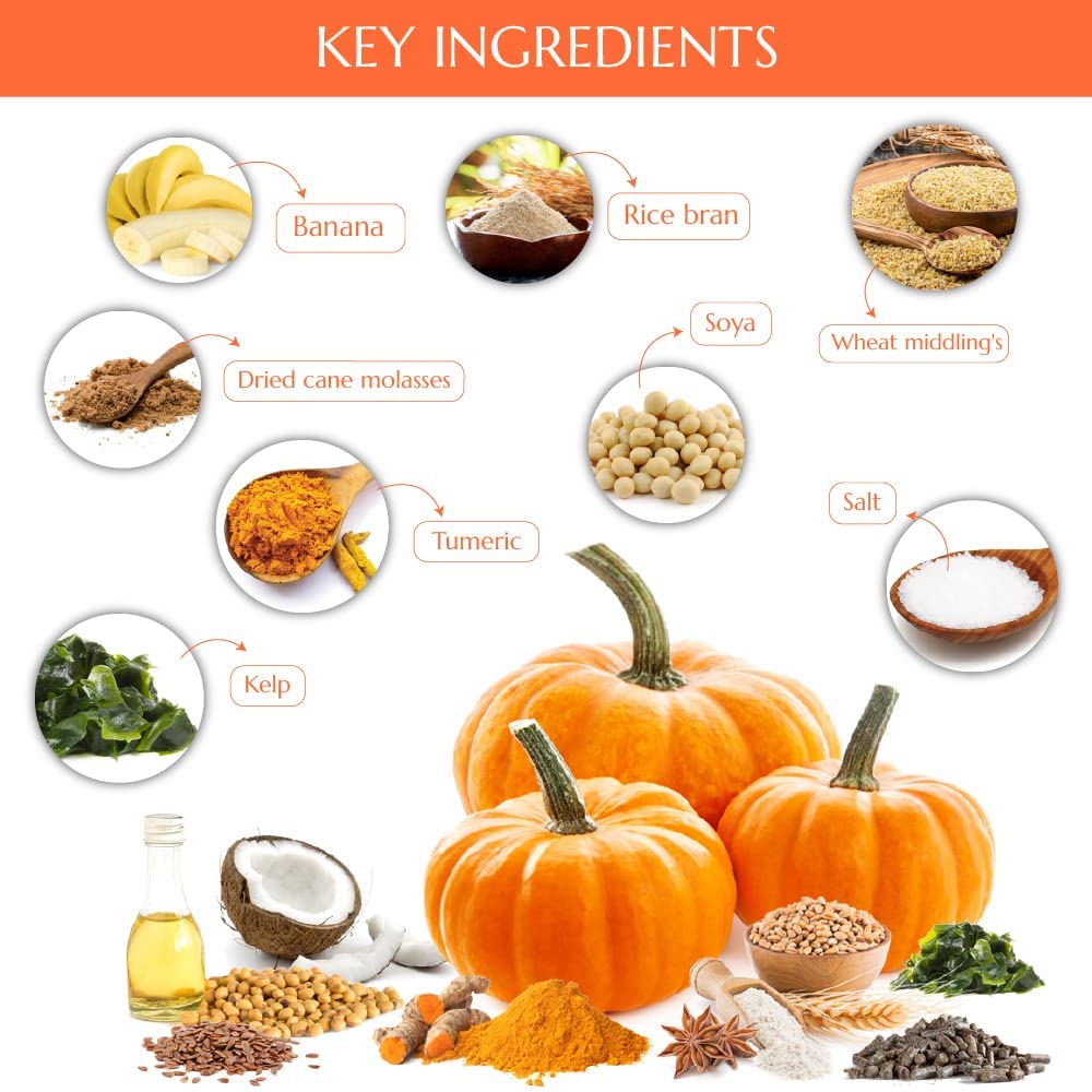 Friandises sans additifs avec Kelcies Pumpkin Spice pour chevaux.
