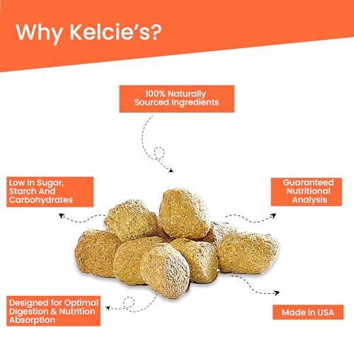 Texture croustillante Kelcies Pumpkin Spice, parfaite pour récompenser l'entraînement.