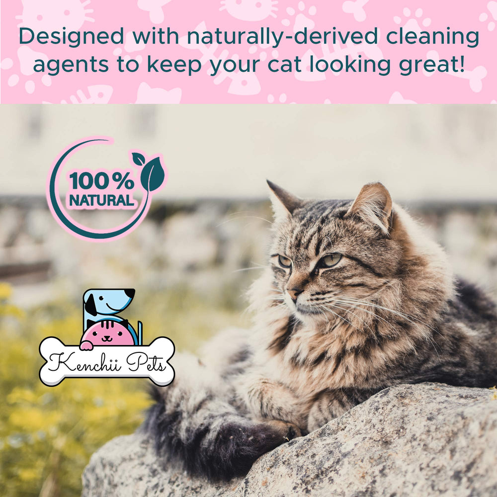 Kenchii anti-statistique chaton : pelage lisse et sans accrochages.