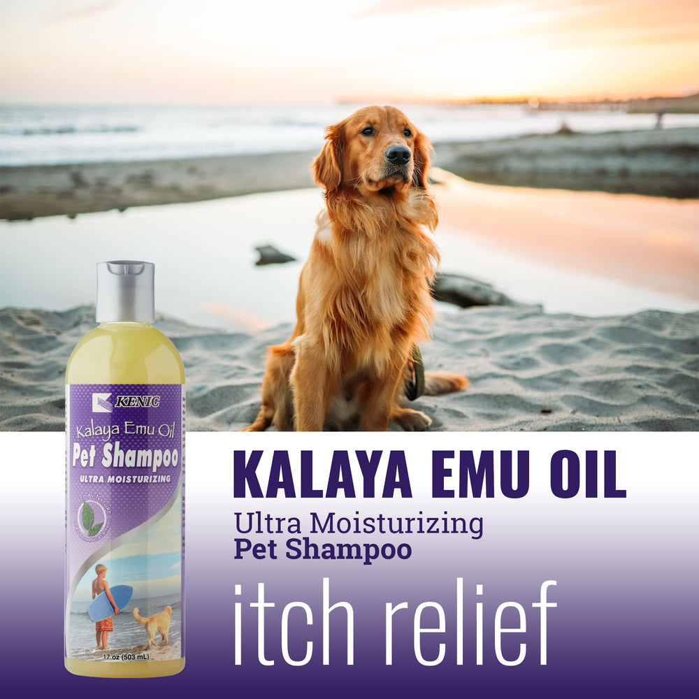 Kenic pelage brillant grâce à l'hydratation profonde du shampoing emu.