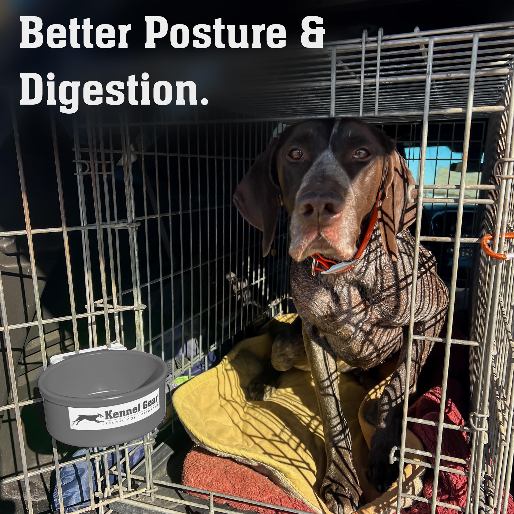 Kennel-Gear gamelle-voyage-pratique, légère et durable pour déplacements