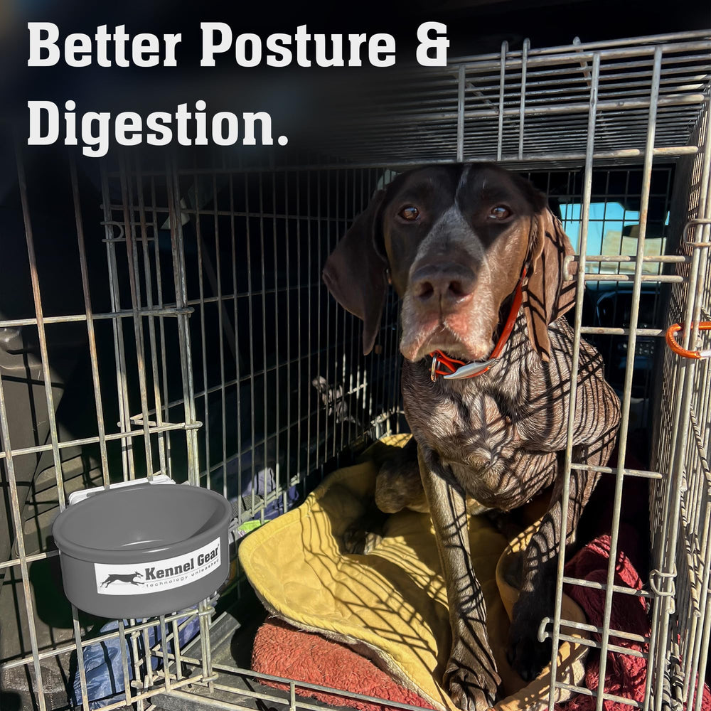 Kennel-Gear gamelle-voyage-pratique, légère et durable pour déplacements