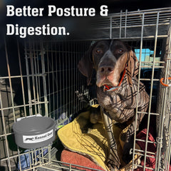 Kennel-Gear gamelle-voyage-pratique, légère et durable pour déplacements