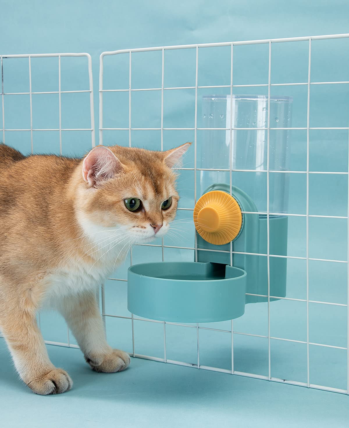 Kenond grande capacité: réservoir 40 onces pour nourriture et eau durables.