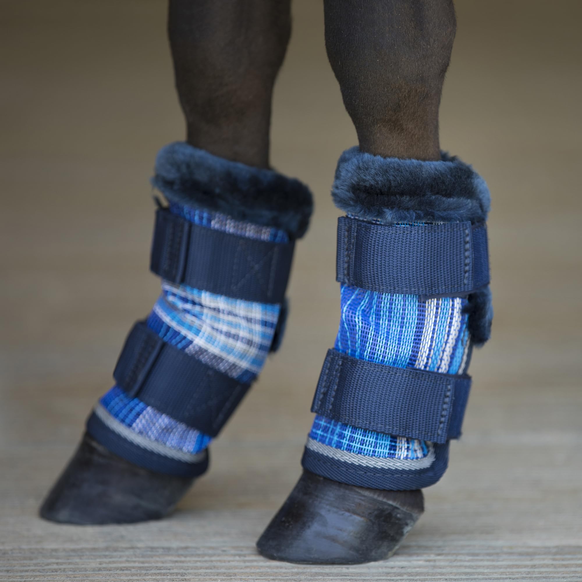 Fermetures double velcro Kensington pour bottes cheval miniature, maintien sûr.