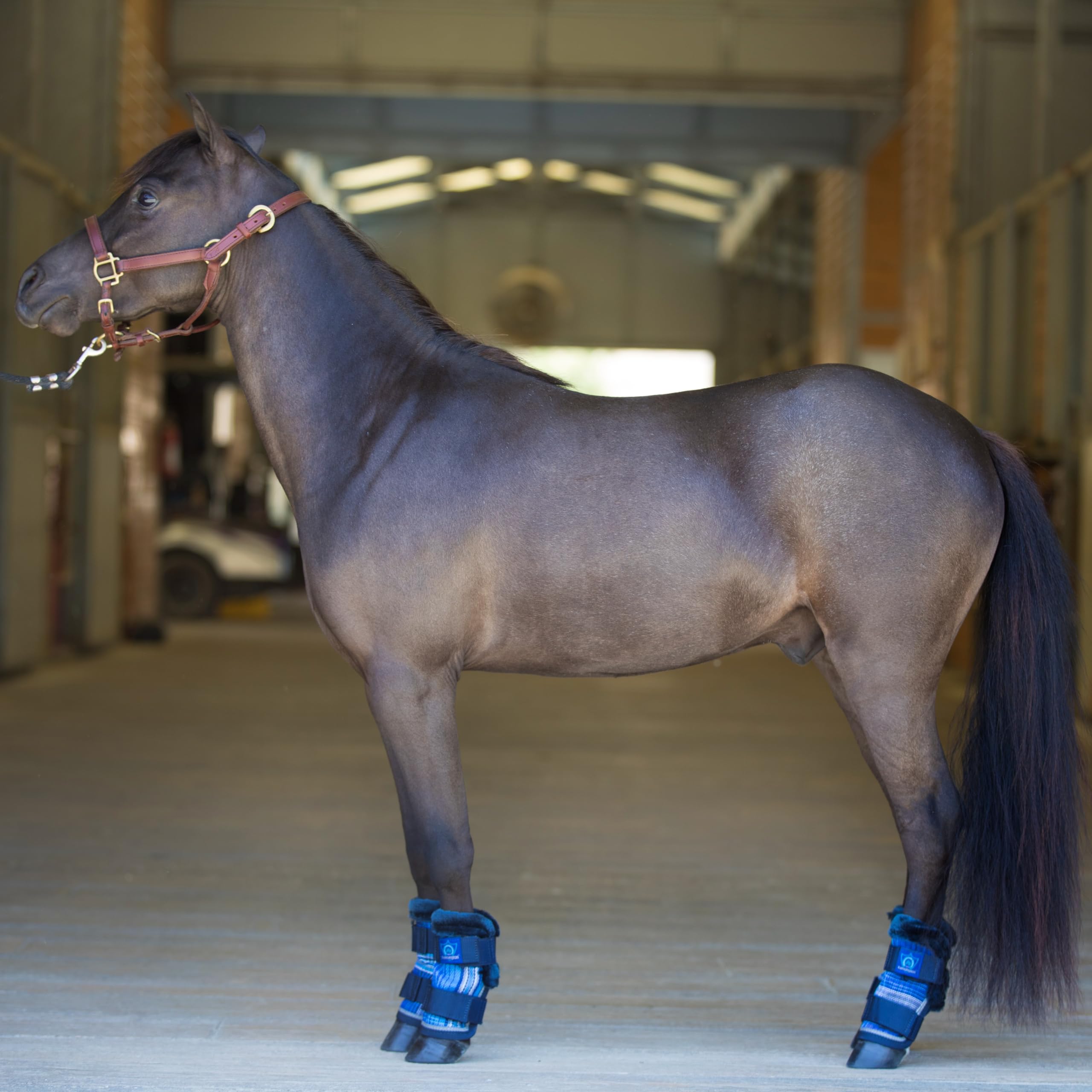 Maille Ilene robuste Kensington pour protection durable des pattes.