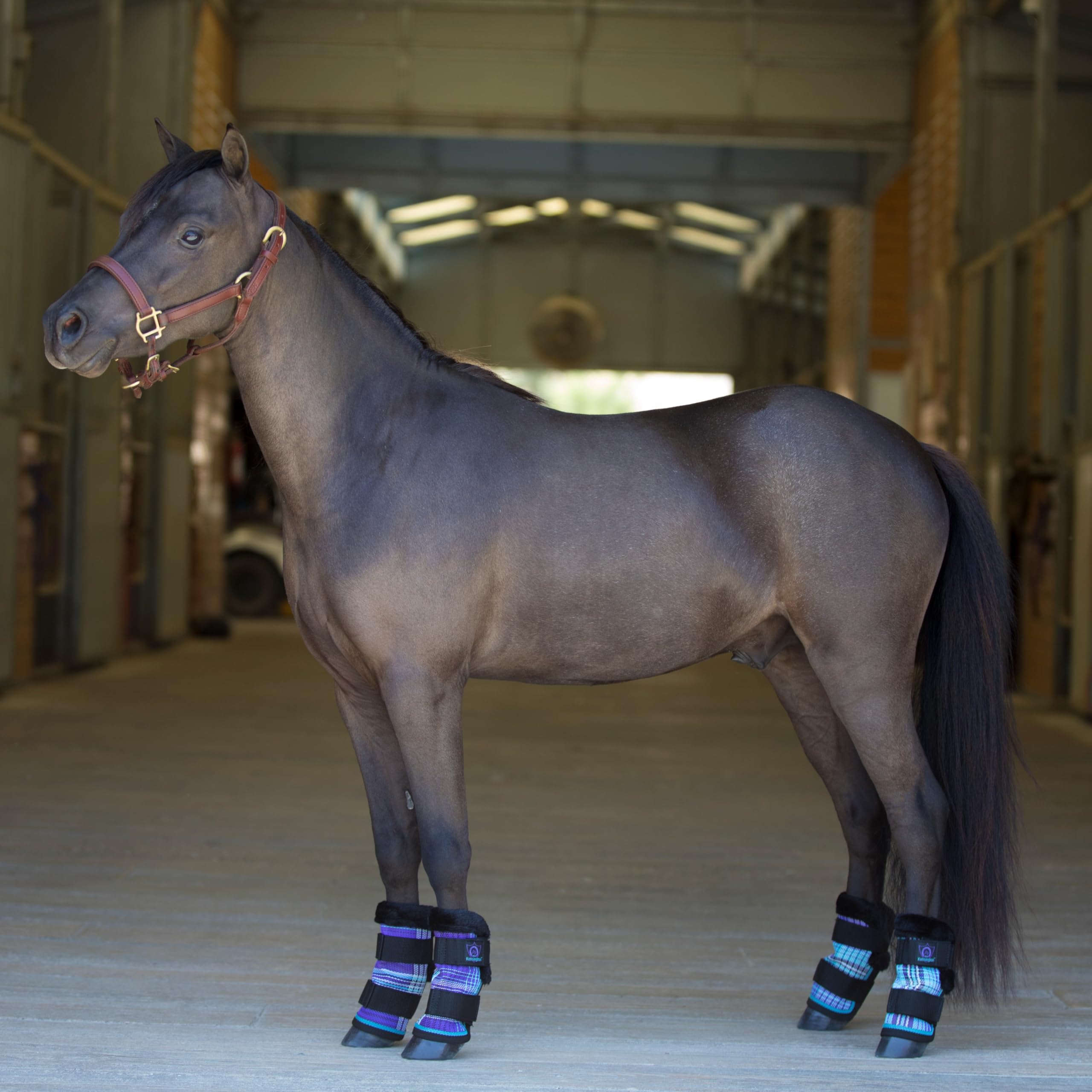 Kensington bottes poney: protection des plaies et soin facilité