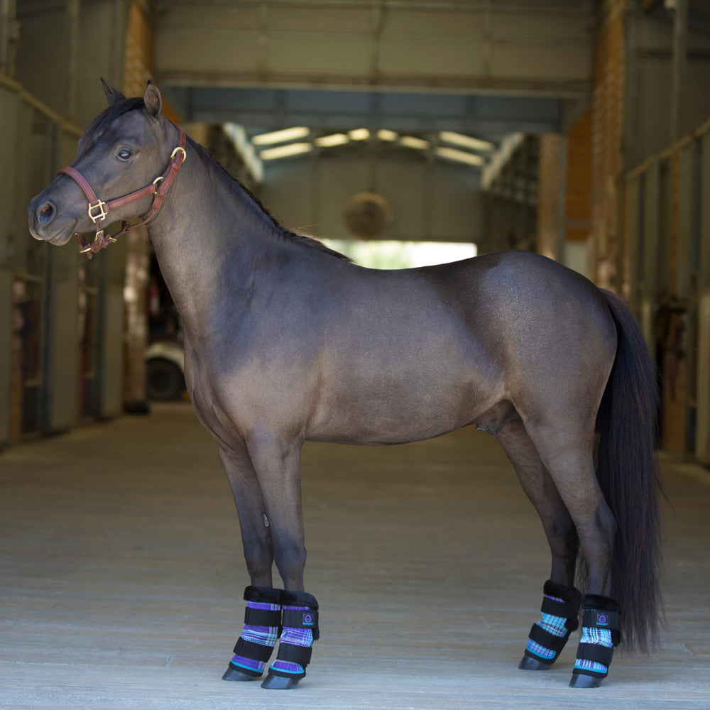 Kensington bottes poney: protection des plaies et soin facilité