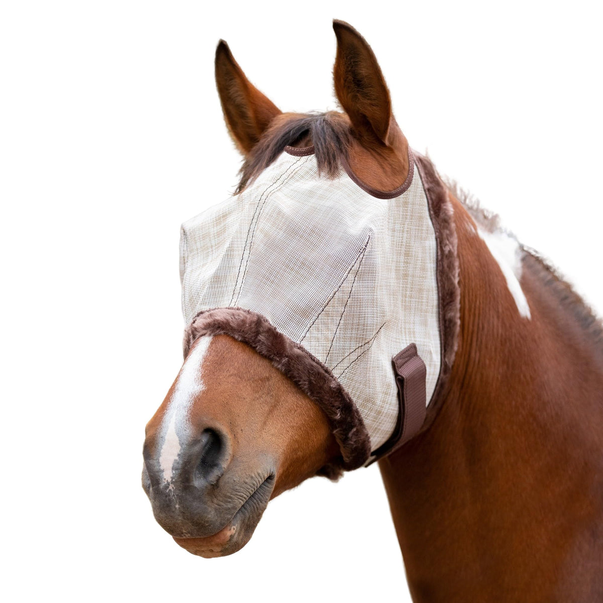 Kensington UV Fly Mask avec fourrure sable: protection oculaire et confort sur le visage du cheval.