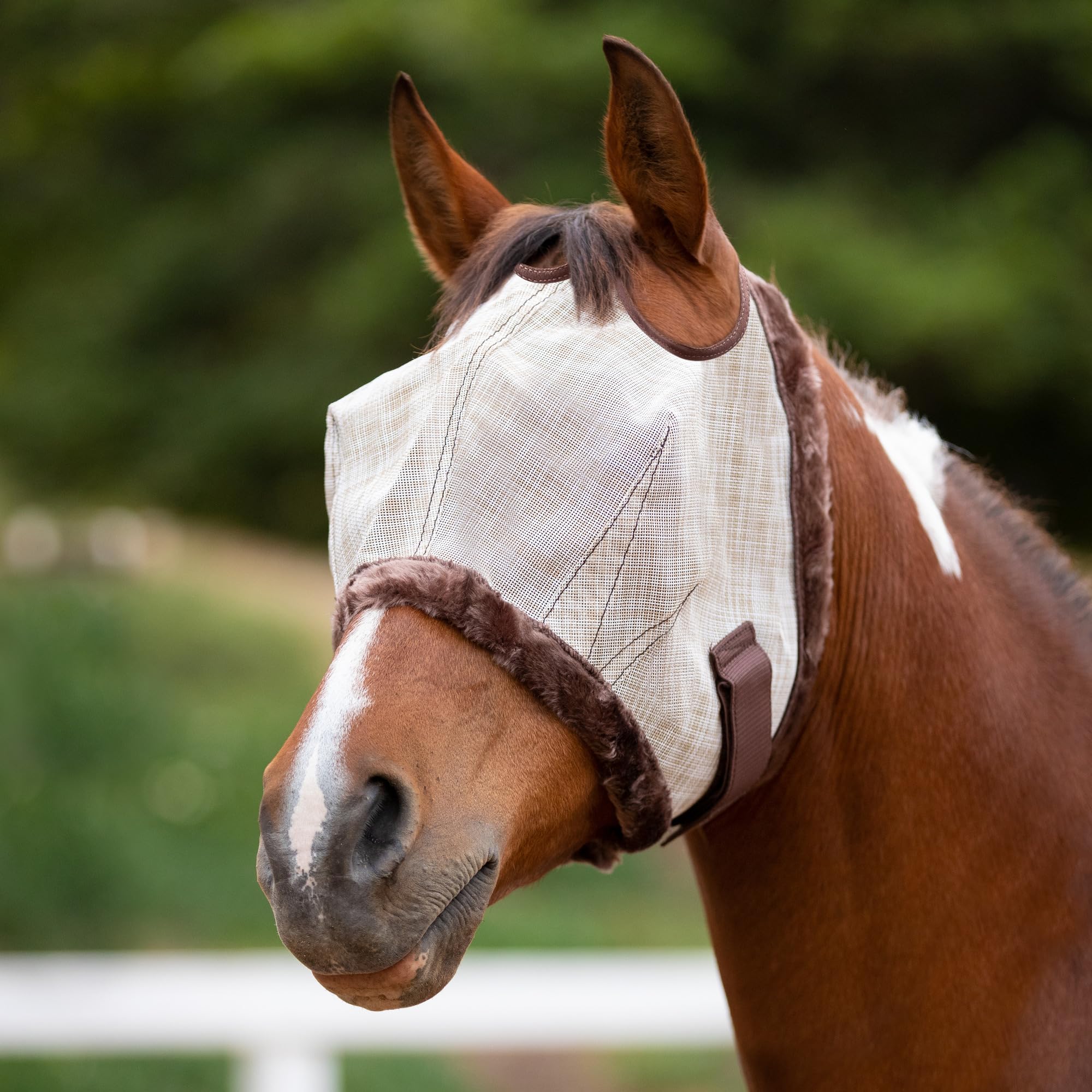 Kensington UV Fly Mask avec ouvertures oreille doubles: stabilité et protection oculaire.