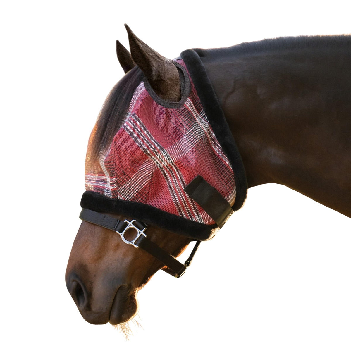 Masque UV Kensington pour cheval avec bordure en peluche, douceur et protection visuelle.