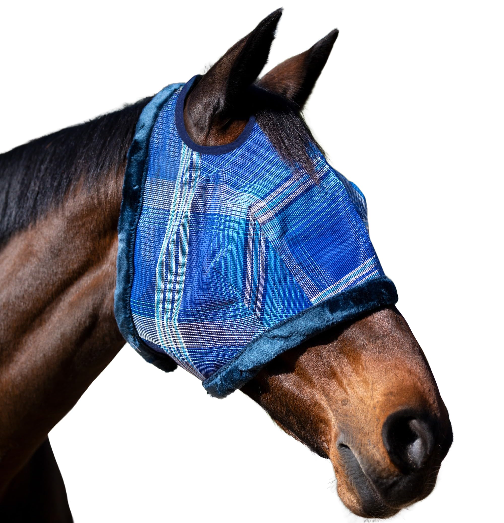 Kensington masque UV cheval avec bord polaire pour confort facial