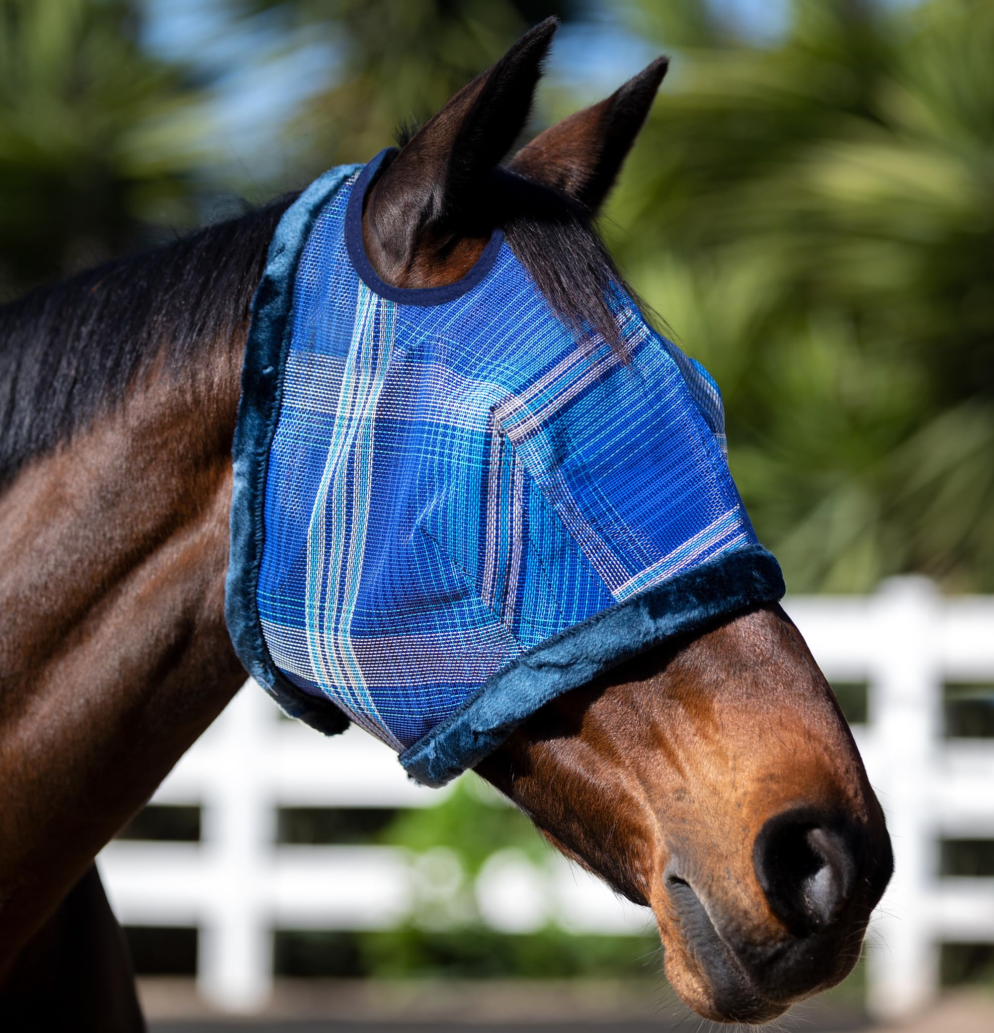 Kensington masque UV cheval, design à deux ouvertures pour oreilles