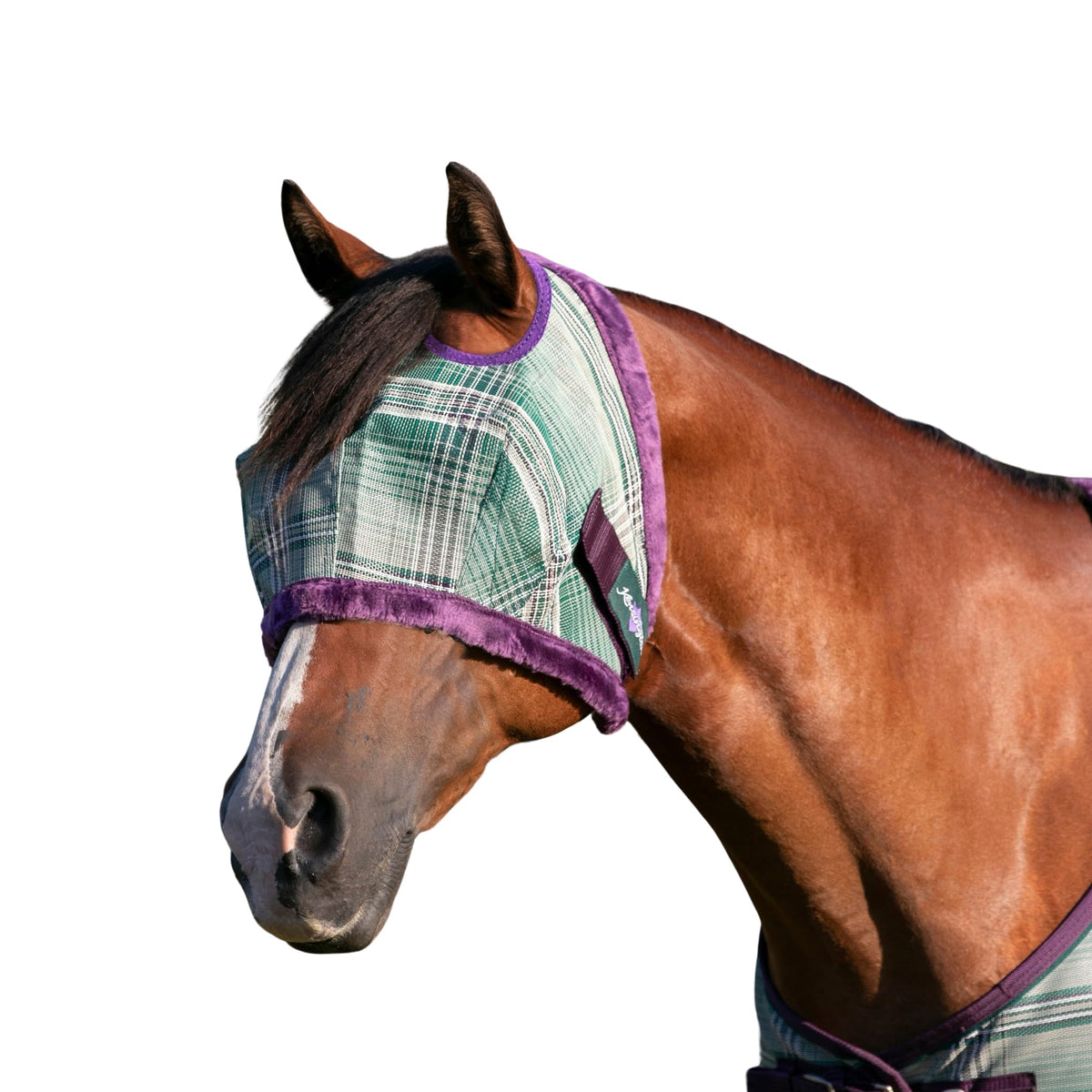 Masque UV Kensington Mouches avec bordure polaire douce sur le visage du cheval.