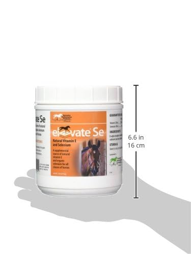 Kentucky Performance Prod Elevate SE — mélange quotidien dans la ration équine pour une nutrition pratique.