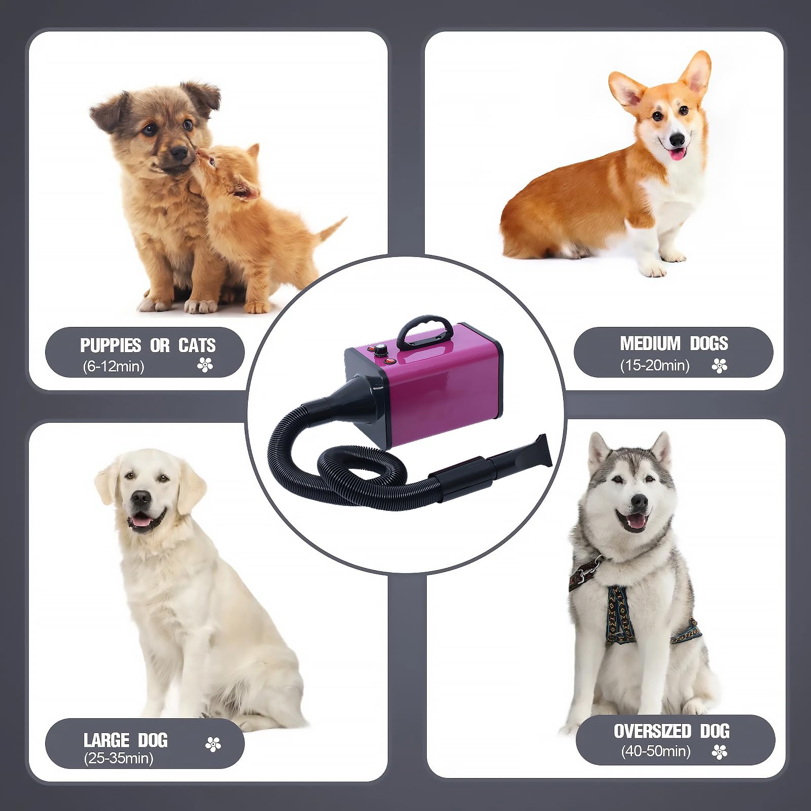 Keqi sèche-chien silencieux 60-80 dB pour moins de stress