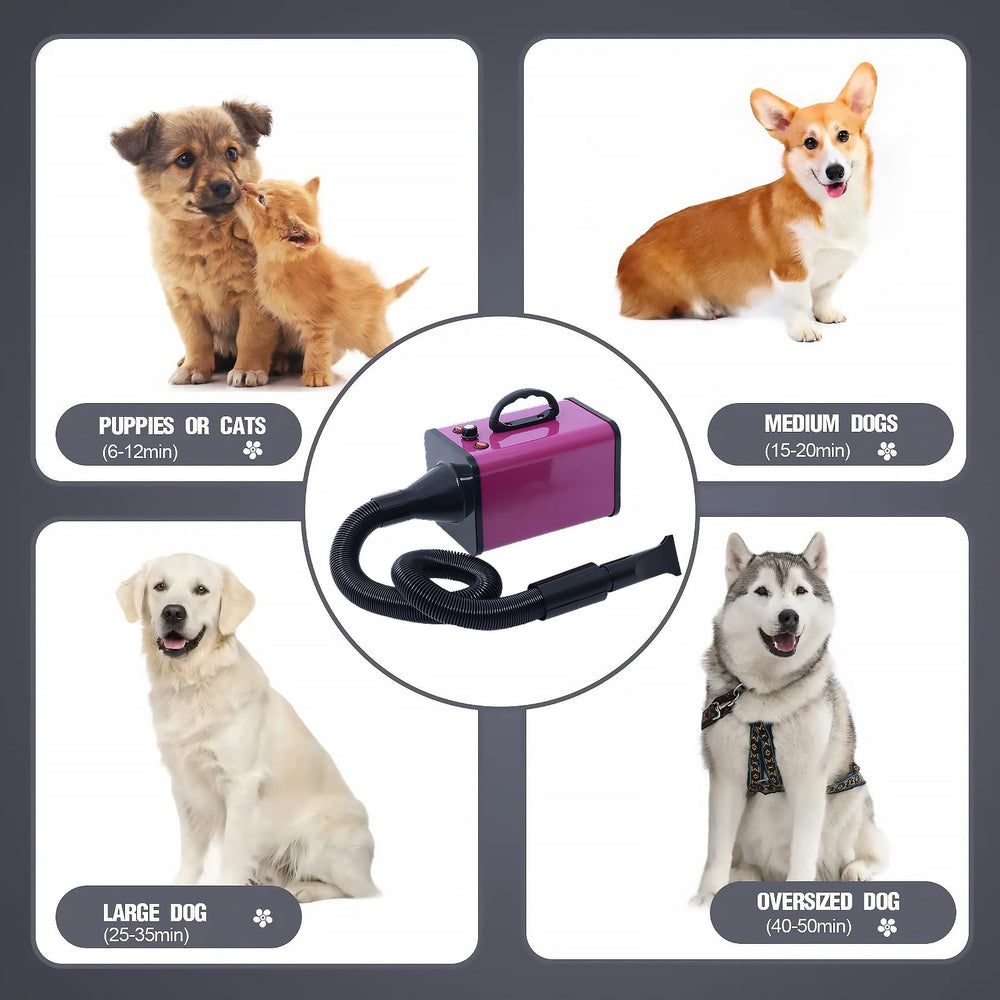 Keqi sèche-chien silencieux 60-80 dB pour moins de stress