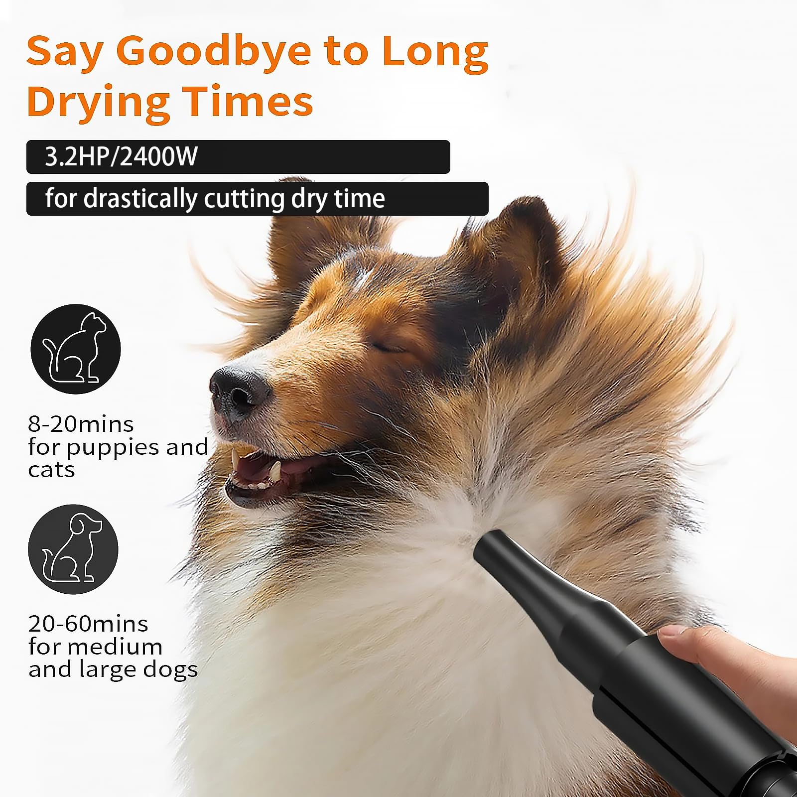Keqi sèche-chien température réglable 95°F à 135°F pour le confort