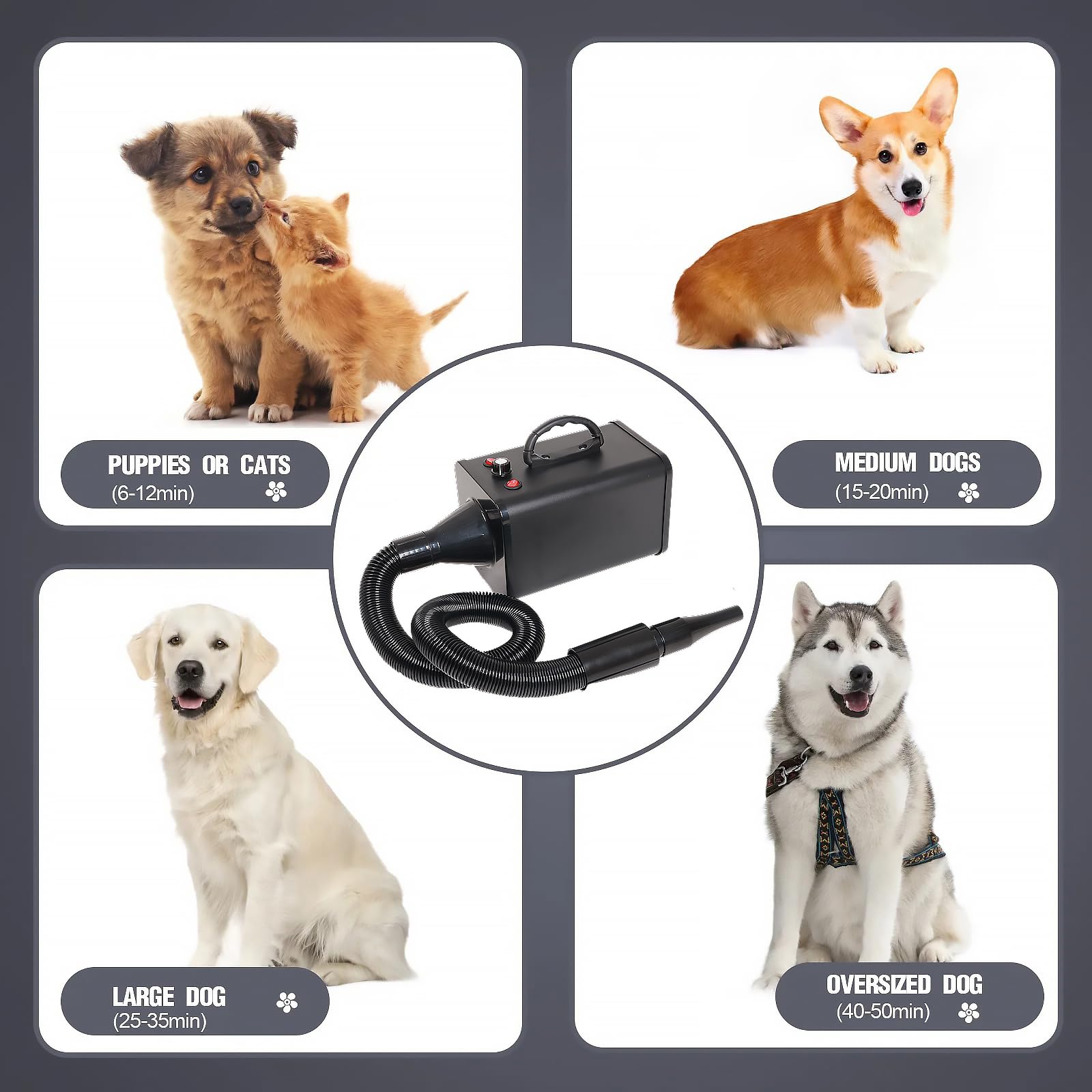 Keqi Sèche-poil pour animaux, usage domestique sur chien et chat, pratique et rapide.