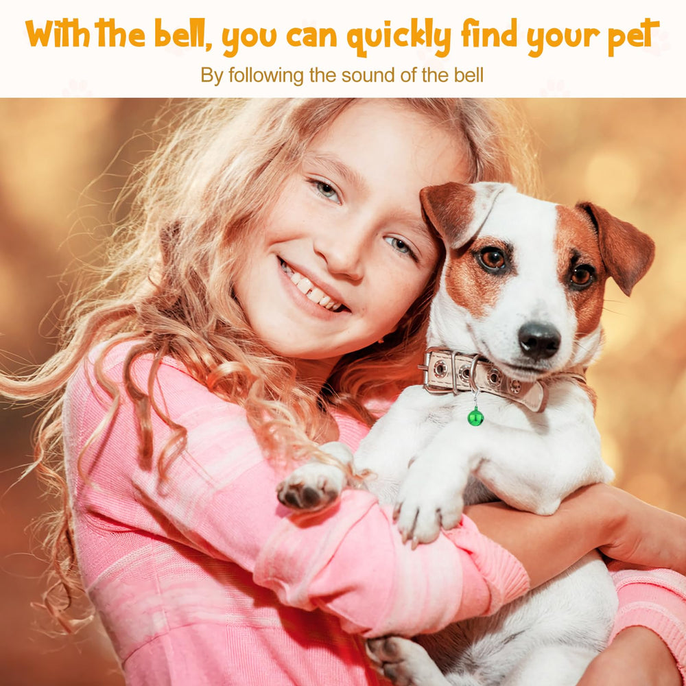 Kerros boules pour petit chien – personnalisation simple et colorée.