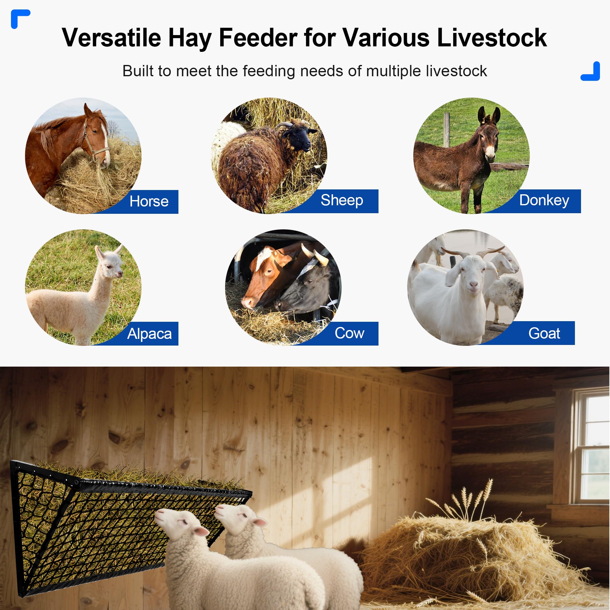 Kerty solution polyvalente pour écurie, paddock et usages intérieurs/extérieurs.