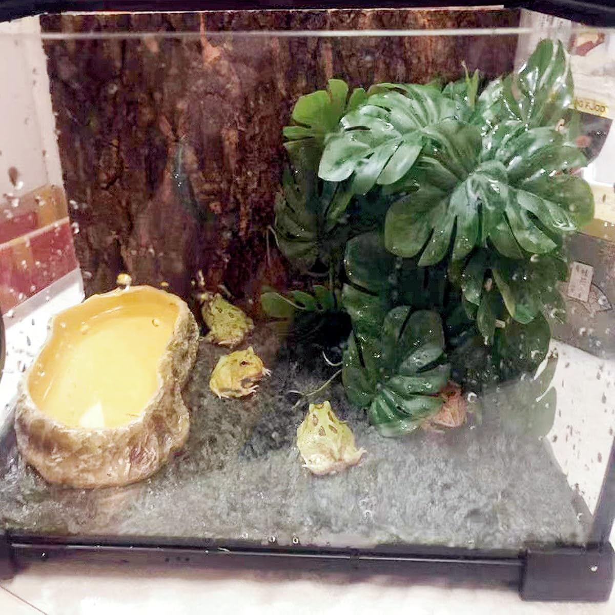 KERUIDENG Accessoire-terarium suspension-suction, installation rapide et fiable.