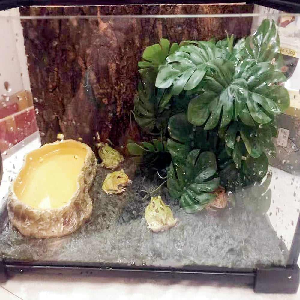 KERUIDENG Accessoire-terarium suspension-suction, installation rapide et fiable.