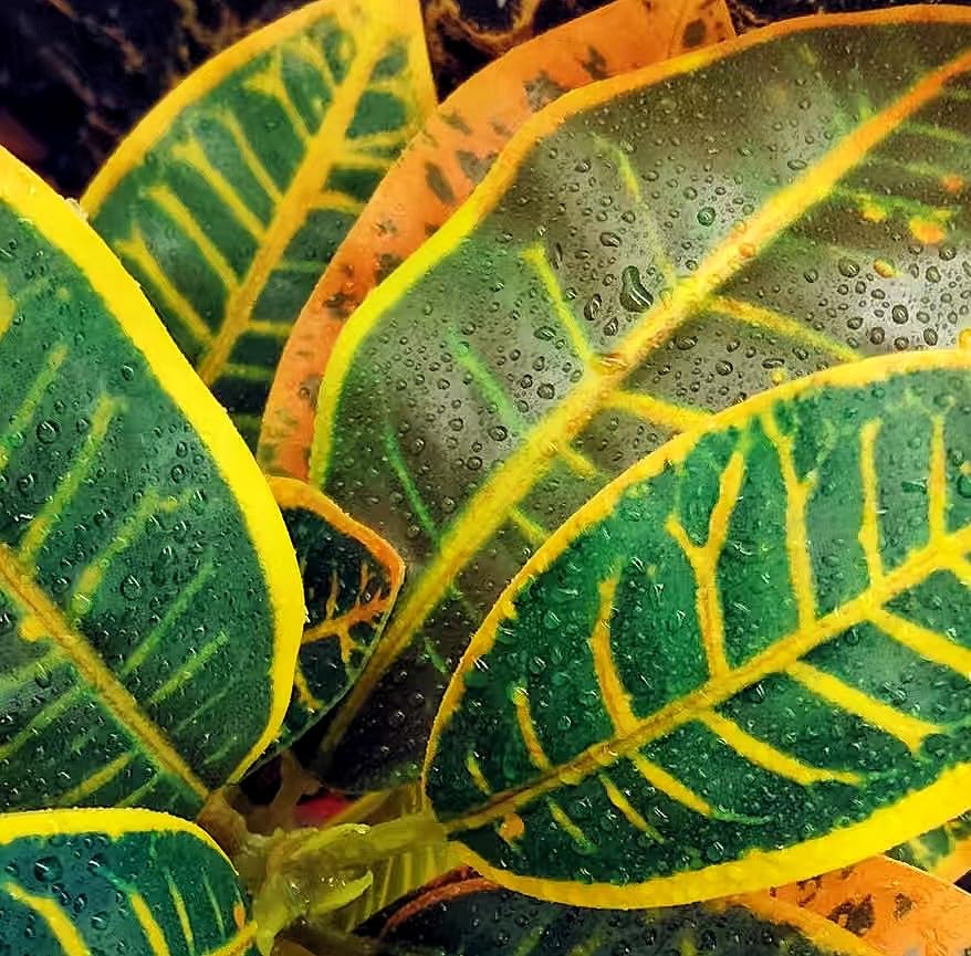 KERUIDENG Entretien facile des plantes artificielles, nettoyage rapide.