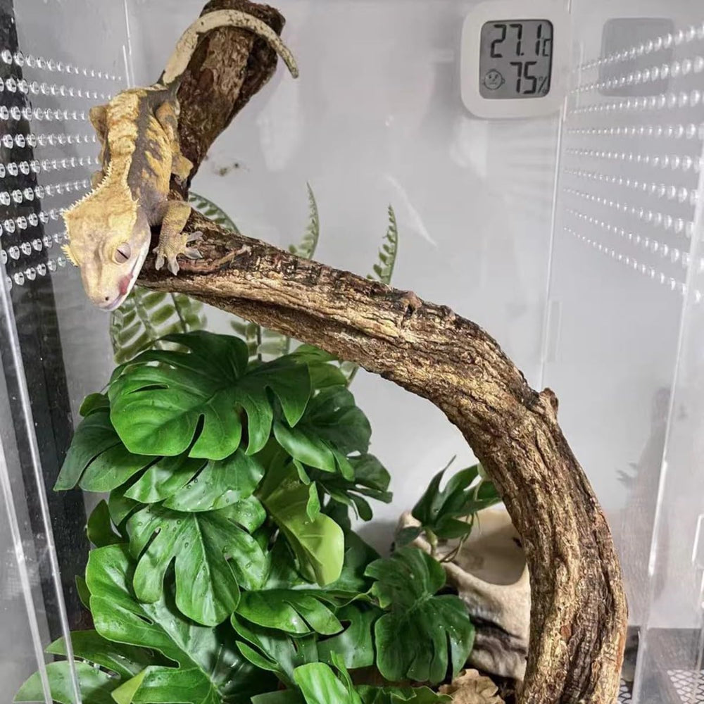 KERUIDENG Plante decor-terarium vert pale, habitat naturel et facile a nettoyer.