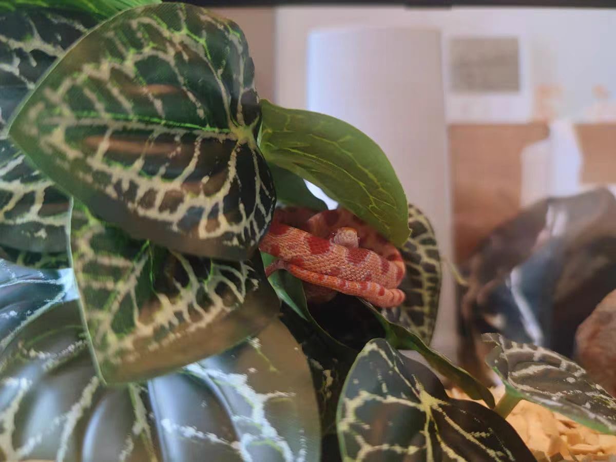 KERUIDENG Plante résistante, décor durable pour terrarium exigeant.