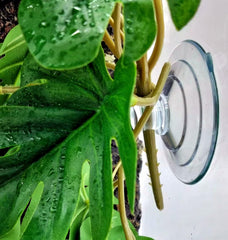 KERUIDENG Plante suspension-reptile terrarium, refuge et exploration sans maintenance.
