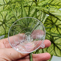 KERUIDENG Accessoires terrarium avec ventouse, installation rapide et ajustement flexible.