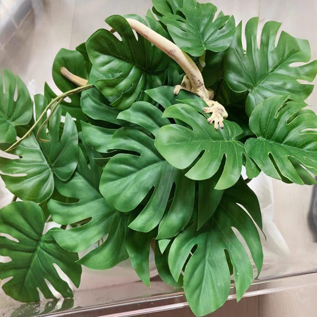 KERUIDENG plantes-decor-reptiles-polyvalentes: faciles à intégrer.