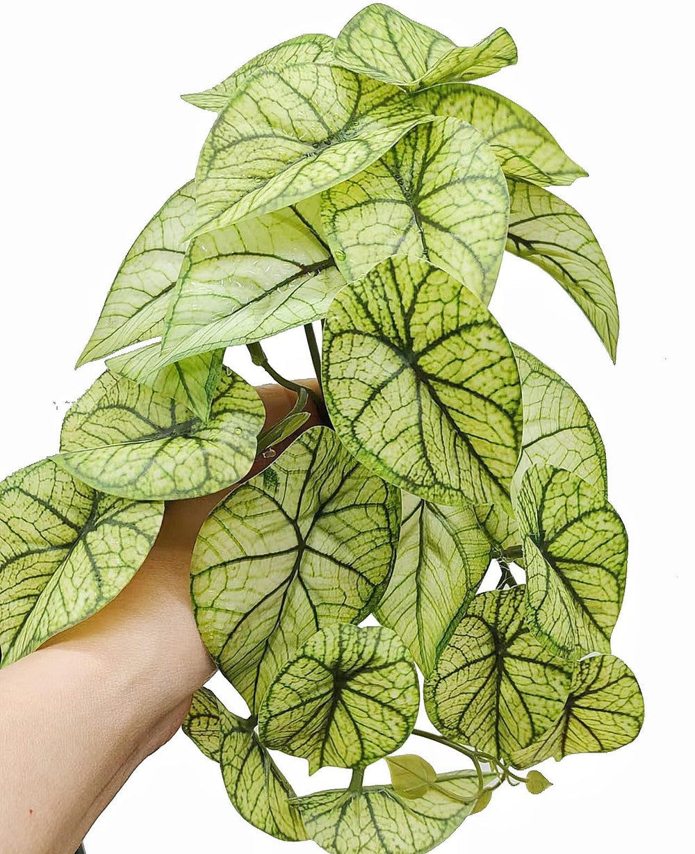 KERUIDENG Plantes décor terrarium, feuillage dense, camouflage et repos pour les lézards.