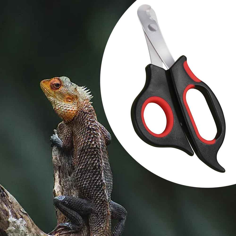KEUYE design pet-friendly, outil sûr pour reptiles