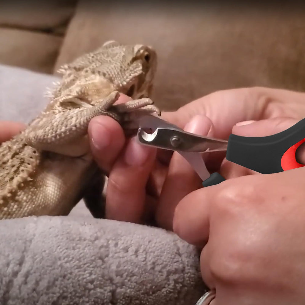 KEUYE utilisation facile pour des ongles propres et bien entretenus