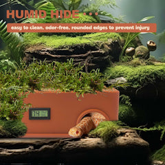 KFPSHLQE Refuge serpent livré avec flacon d'arrosage pour humidifier facilement.